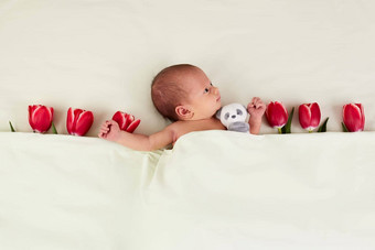 可爱的新生儿婴儿红色的郁金香泰迪熊玩具