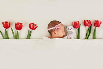 可爱的新生儿婴儿红色的郁金香泰迪熊玩具