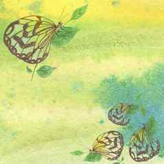 蝴蝶黄色的蓝色的水彩背景数字纸手画蝴蝶