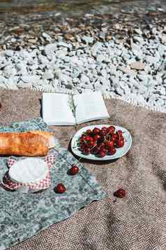 夏天浪漫的乡村野餐格子法国风格魔杖奶酪开放书