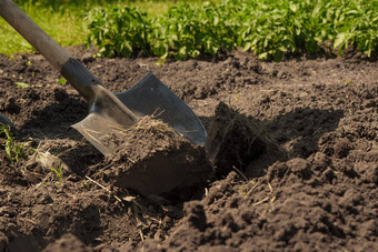 花园铲地面放松土壤准备农业花园工作农场土壤挖掘花园铲土壤铲挖掘铲地球铲污垢后院园艺工具种植放松