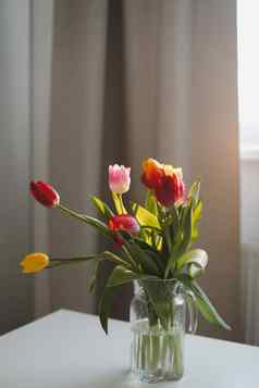 新鲜的春天色彩斑斓的花束郁金香花瓶站白色表格光经典设计生活房间背景节日花礼物模型问候卡
