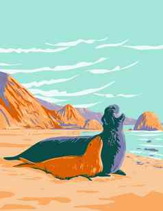 北部大象密封点雷耶斯国家海滨马林县加州水渍险海报艺术