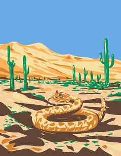 西方菱形斑纹响尾蛇索诺兰沙漠沙漠国家纪念碑亚利桑那州水渍险海报艺术