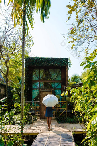 木小屋包围棕榈树蔬菜花园农村小屋热带雨林
