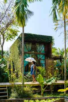 木小屋包围棕榈树蔬菜花园农村小屋热带雨林