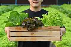 小业务老板农民持有木箱完整的新鲜的有机蔬菜农场农业业务概念