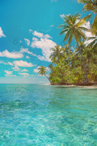 异国情调的天堂Maldive度假胜地环礁湖湾视图