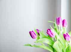 美丽的新鲜的花束粉红色的郁金香前面窗口灰色的背景