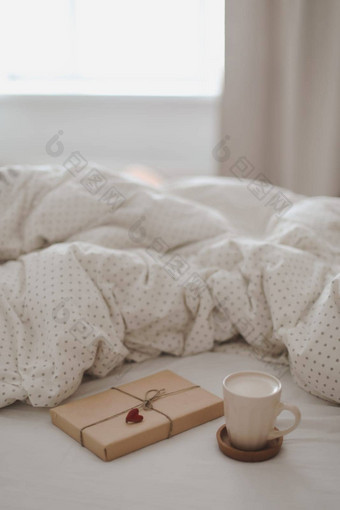 光舒适的卧室杯芳香咖啡书温暖的格子床上软毯子在室内前视图