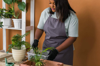 非洲美国女人园丁移植绿色植物陶瓷锅地板上概念首页花园盆栽植物