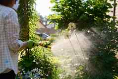 女人浇水长得软管花园