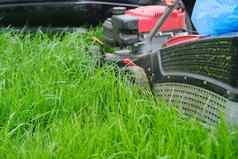 草坪上割草机切割绿色草园丁剪草机工作