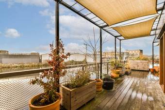 屋顶阳台植物玻璃屋顶