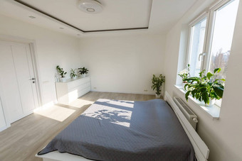 简单的现代设计提供双床上白色枕头软毯子木地板上白色空墙大窗口窗帘卧室室内