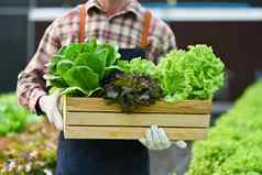 农民持有木箱完整的新鲜的有机蔬菜农场农业业务概念