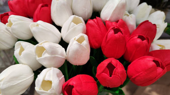 郁金香大花束混合花背景红色的白色颜色混合花背景纹理花颜色