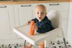 婴儿男孩坐着婴儿椅子吃胡萝卜厨房背景复制空间婴儿喂养概念