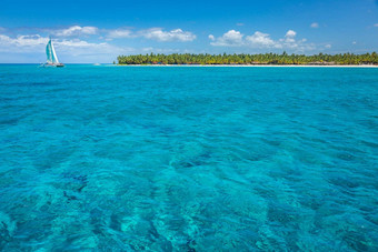 棕榈树蓝色的天空美丽的海滩<strong>高峰</strong>卡纳多米尼加共和国