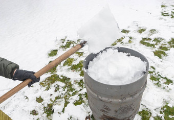 中年女人收集雪<strong>桶</strong>铲自然资源