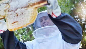 女人养蜂人蜂蜜框架农场收获在户外养蜂行业启动女小业务老板工人农民快乐蜂窝增长食物生产蜜蜂