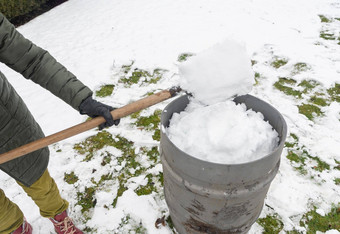 中年女人收集雪桶铲自然资源