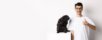 快乐的英俊的的家伙站可爱的黑色的哈巴狗显示翘拇指宠物老板批准推荐产品狗白色背景