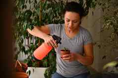 女园艺家浇水多汁的芦荟真正植物日益增长的粘土能在室内环境保护