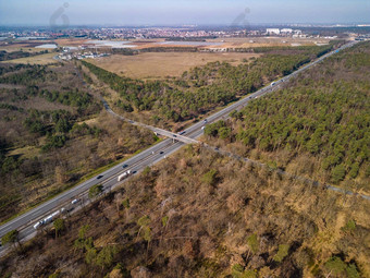 空中视图高速公路病森林