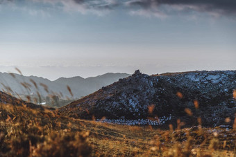 养蜂场蜂蜜生产山