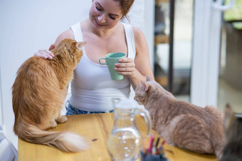 高加索人女人猫猫咖啡馆