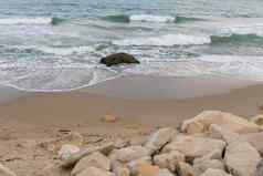美丽的海岸城市警告保加利亚海垮掉的一代石头令人惊异的海景