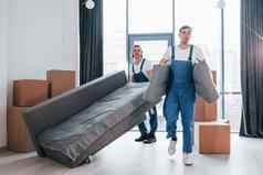 携带重沙发年轻的搬家公司蓝色的统一的工作在室内房间