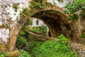 历史石头隧道通过植被