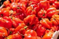 辣椒哈瓦那最热的胡椒墨西哥出售辣椒市场