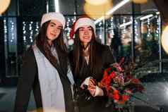 快乐姐妹双胞胎花圣诞节假期在户外概念一年