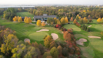 美丽的房子高尔夫球公园橙色系树