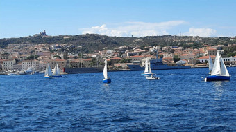 白色游艇锚定蓝色的湾撒丁岛意大利美丽的海景船只集团白色游艇停泊阳光明媚的湾
