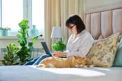 成熟的女人移动PC坐着沙发上首页放松睡觉姜猫