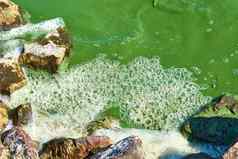 生态环境污染脏绿色水泡沫石头