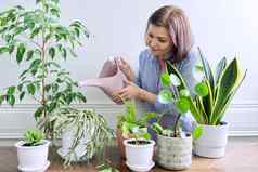 女人有爱心的室内植物锅浇水植物浇水