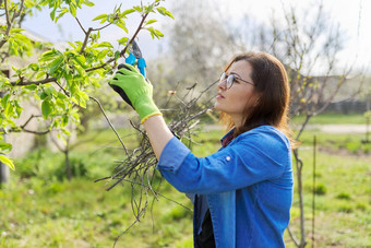 春天修剪花园女人花园剪刀修剪水果树