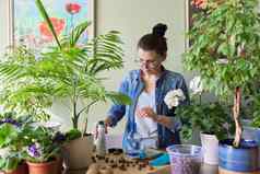 女人倒液体矿物肥料培养有爱心的室内盆栽植物