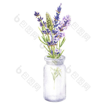 水彩植物插图花束紫色的薰衣草花玻璃花瓶孤立的白色背景香场草设计贴纸婚礼邀请首页产品