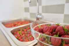 草莓季节洗浆果水洗盆地首页厨房