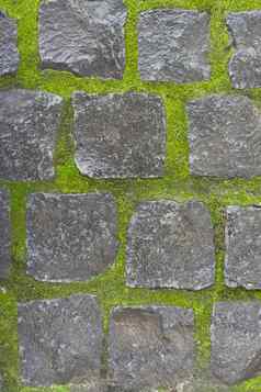 背景纹理石头古董广场石头光绿色长满青苔的接缝