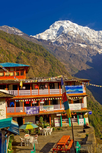 休息区域客人房子安纳普尔纳峰保护区域喜马拉雅山脉尼泊尔