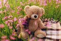 泰迪熊花束淡紫色花玩具袋花束花春天花
