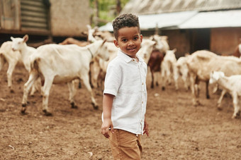 可爱的非洲美国男孩农场夏季山羊