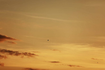 鸟飞行日落《暮光之城》贝福降雨<strong>天空背景天空</strong>日落鸟<strong>天空</strong>